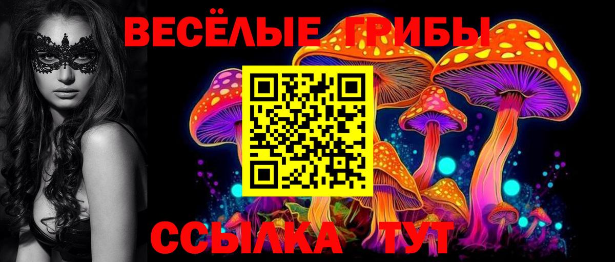 Фурманов  Псилоцибиновые грибы GOLDEN TEACHER  Вход с VPN  Псилоцибиновые грибы прущие грибы 